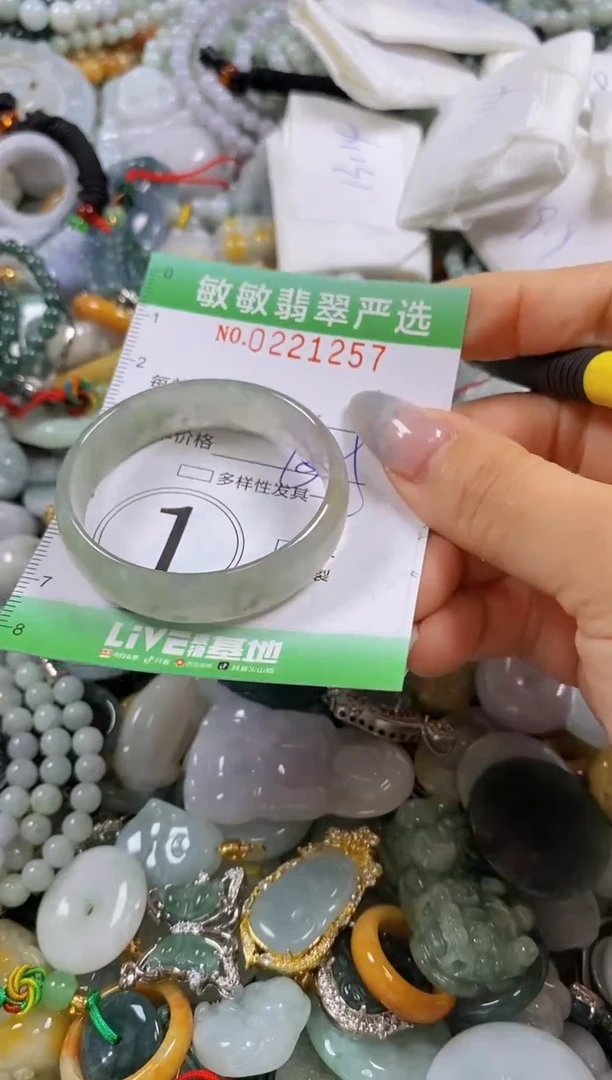 翡翠未镶嵌颈饰闪购0221257