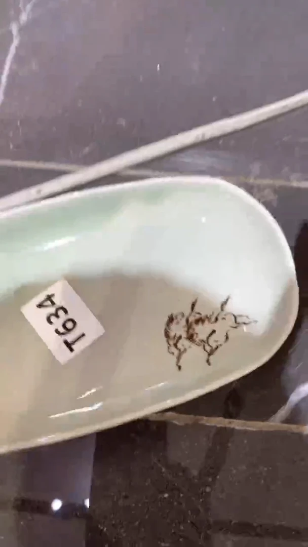 瓷片一****一634 欢天喜地欢天喜地