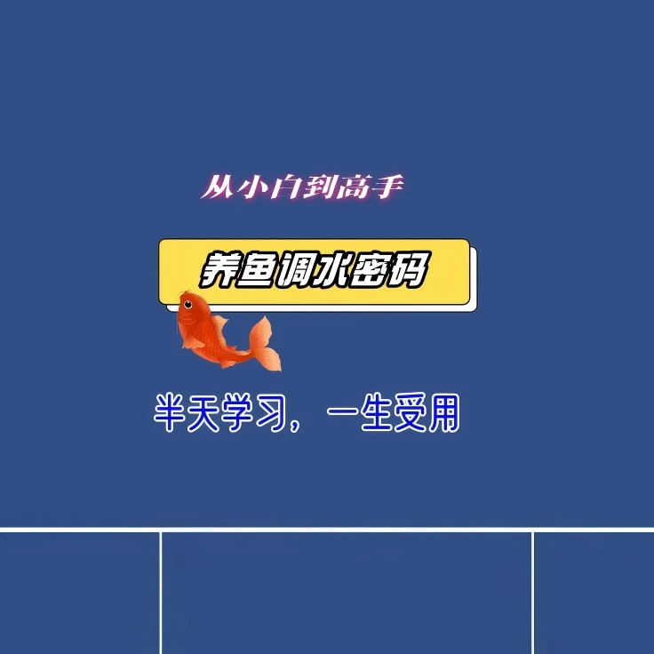 养鱼调水密码【附赠资料包短信解锁课程】