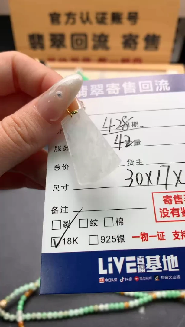 翡翠18K金镶嵌颈饰10137996