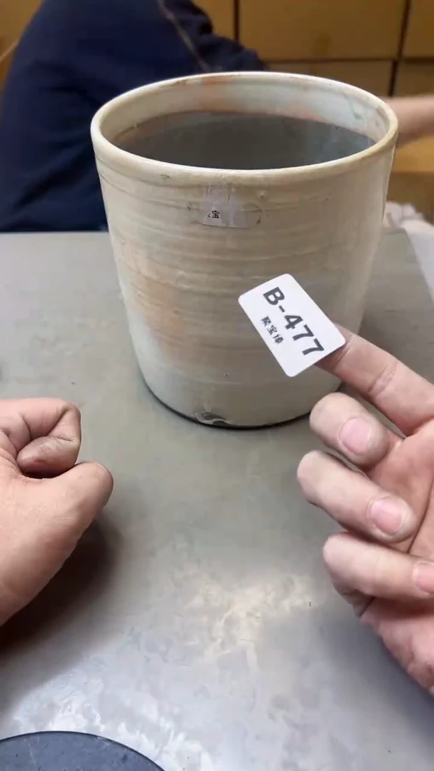 【闪购商品】瓷片477聚宝缘精选二号店