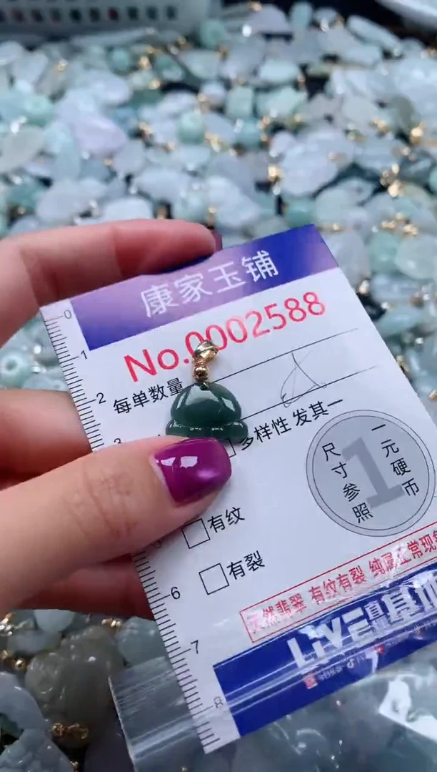 颈饰未镶嵌翡翠2588