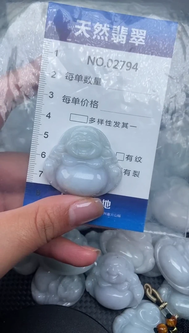颈饰未镶嵌翡翠纯天然A货翡翠2794