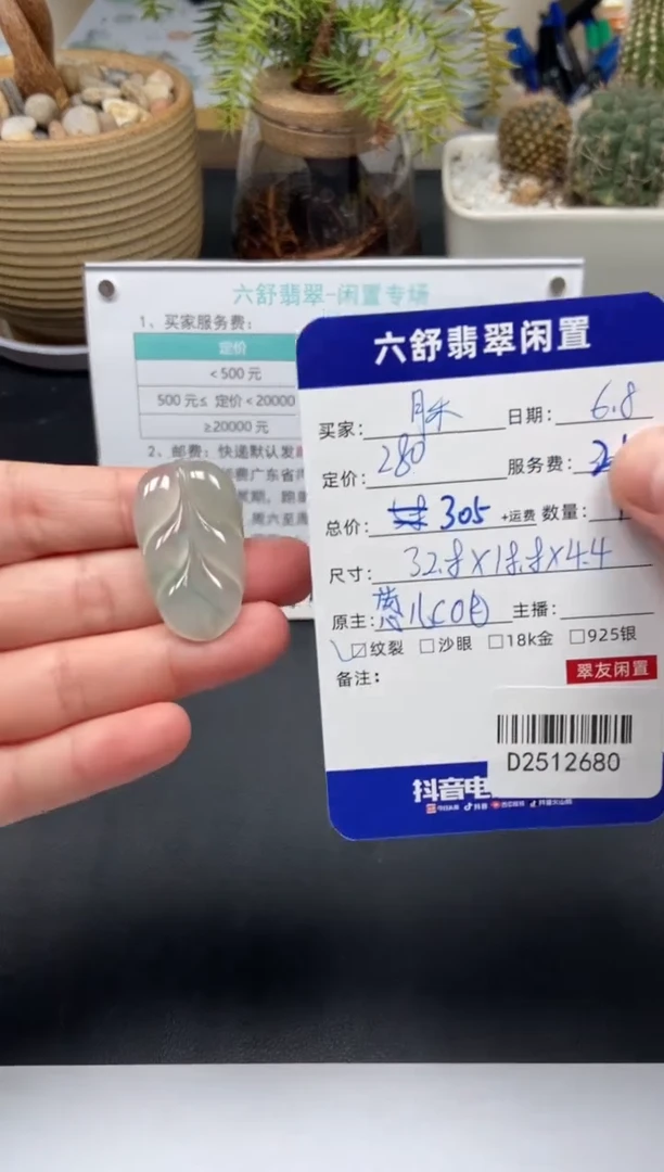 翡翠未镶嵌颈饰D2512680