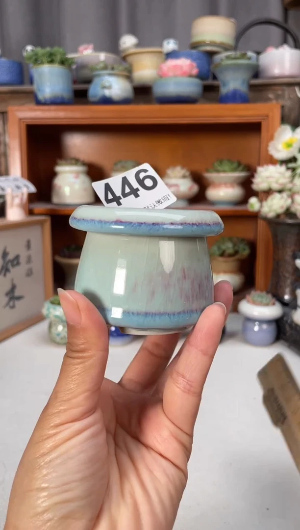 瓷片446小芳直播编号