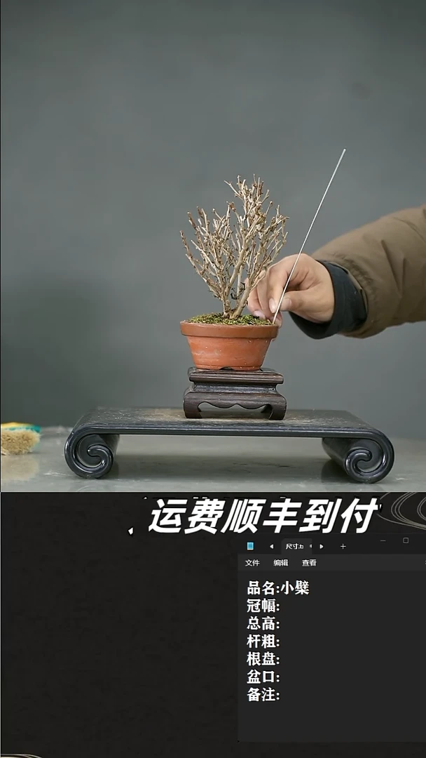 【闪购商品】4 小檗