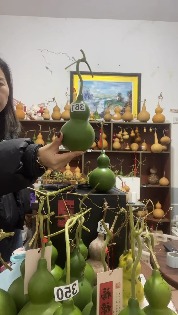 小**儿361天然葫芦摆件 一物一拍龙头不保售后