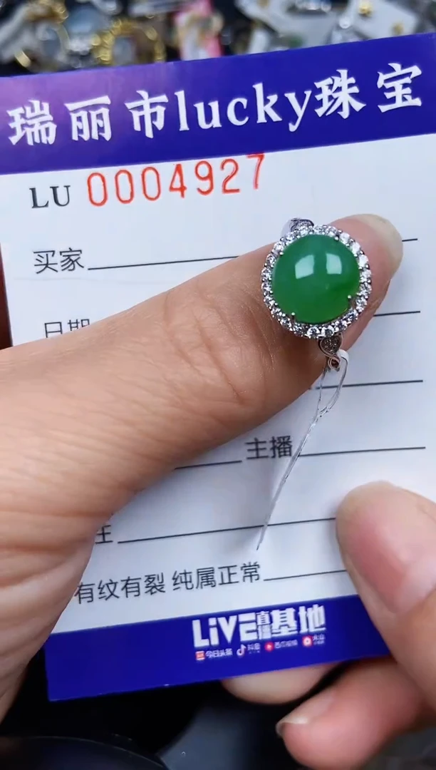 翡翠银S925镶嵌颈饰4927