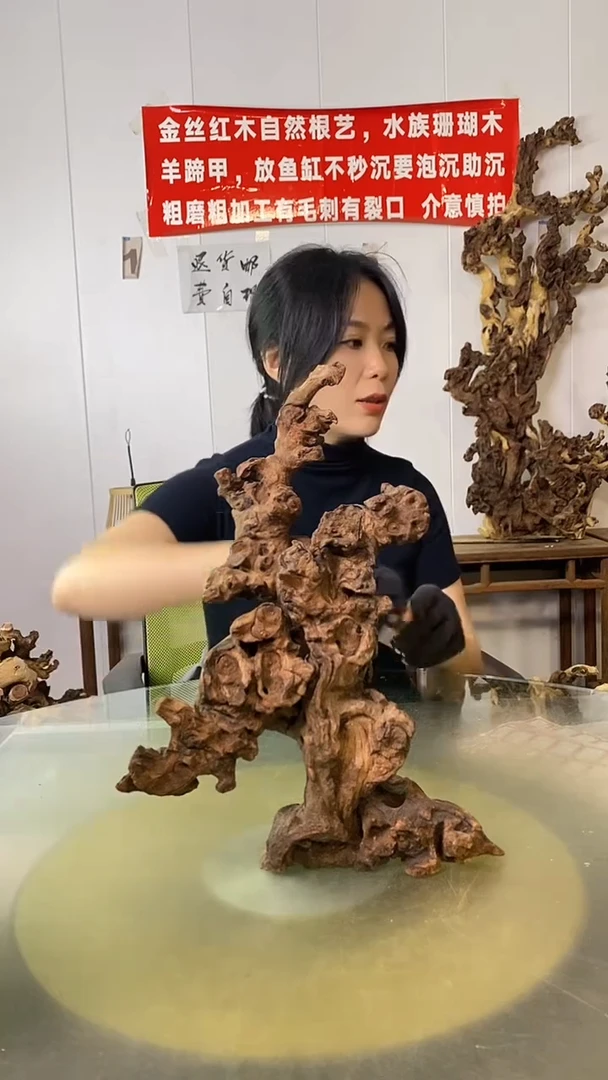 木石**缘金丝红木 羊蹄甲