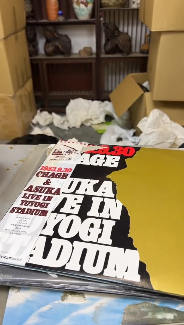 瓷片1428 聚宝缘优品精选