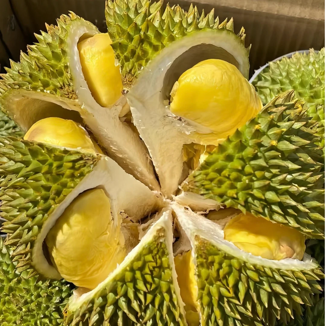 正价纯肉新鲜进口泰国金枕榴莲AA果 核小 软糯香甜 贵阳同城小时达纯肉1KG金枕泰国