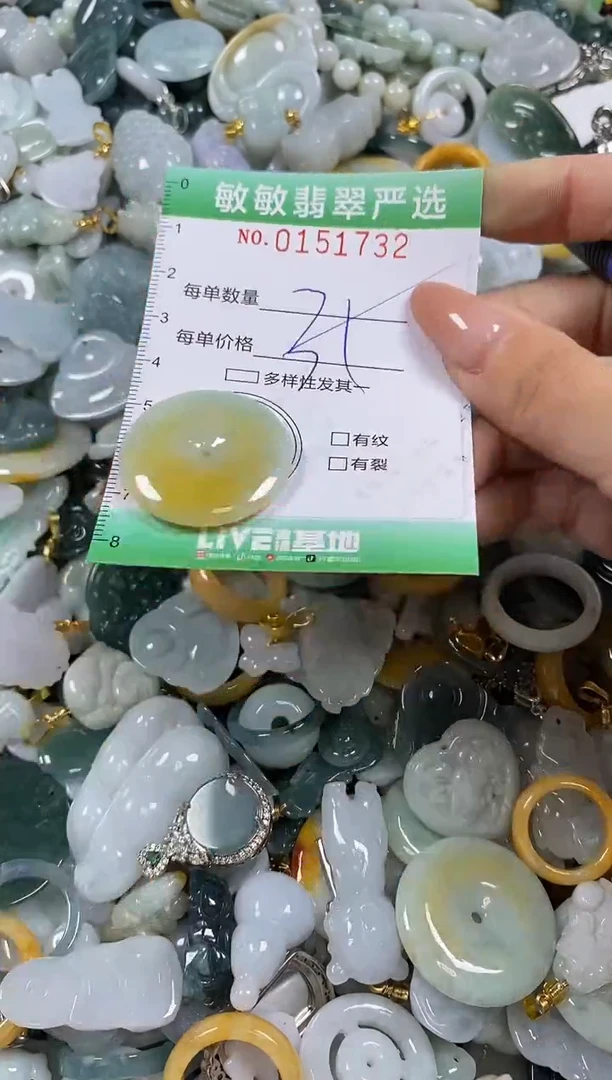 翡翠未镶嵌颈饰闪购0151732