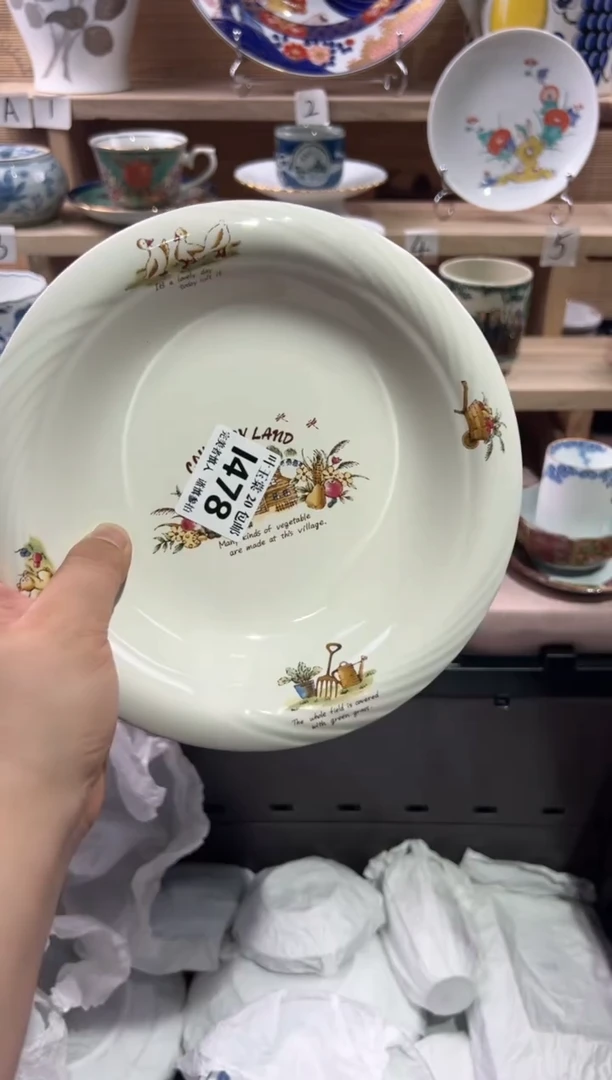 瓷片            I478