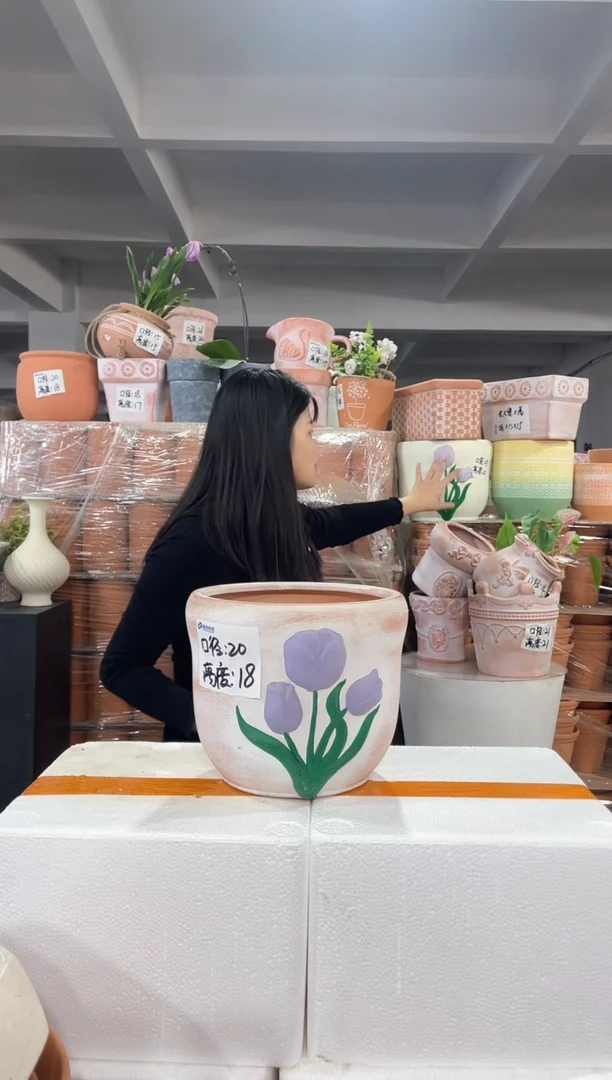 【闪购商品】红陶复古紫花郁金香20-18