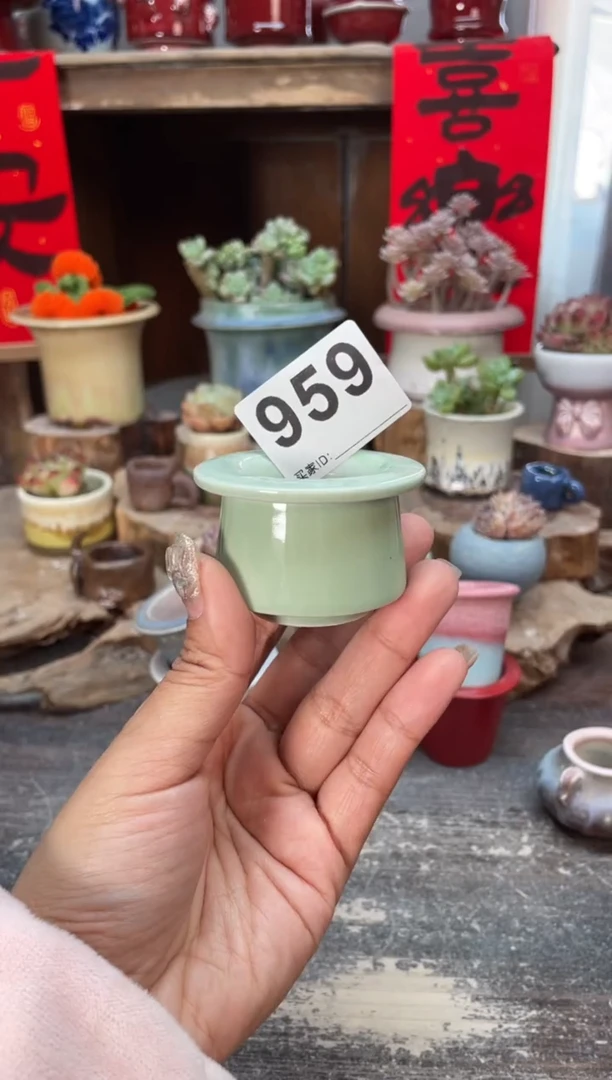 【闪购商品】摆件959知木小芳花盆