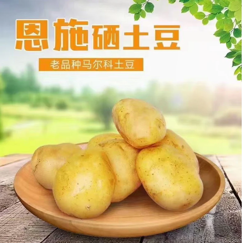 恩施小土豆，现挖现卖。