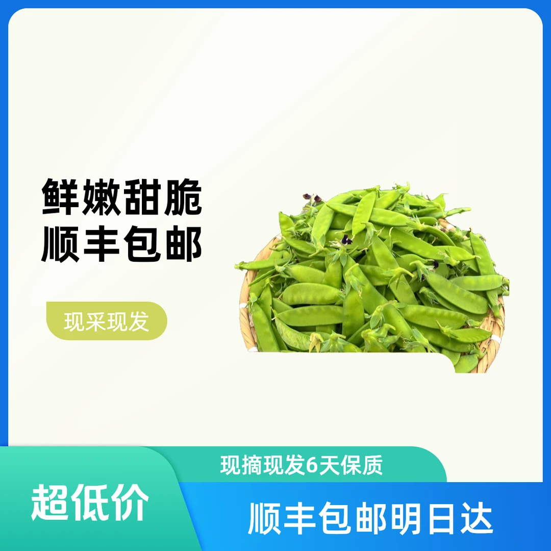 【明日达】顺丰包邮】1/3/5/9斤云南新鲜甜脆荷兰豆现摘现发农家自种新鲜蔬菜豌豆荚现摘现发蔬菜新鲜荷兰豆豆类
