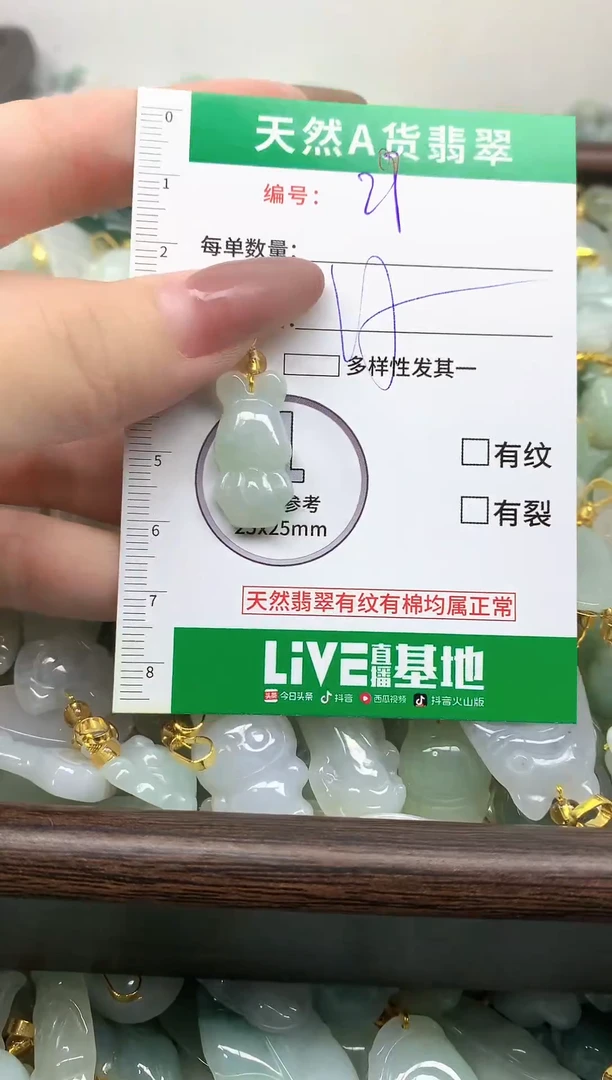 颈饰未镶嵌翡翠纯天然缅甸A货翡翠-29