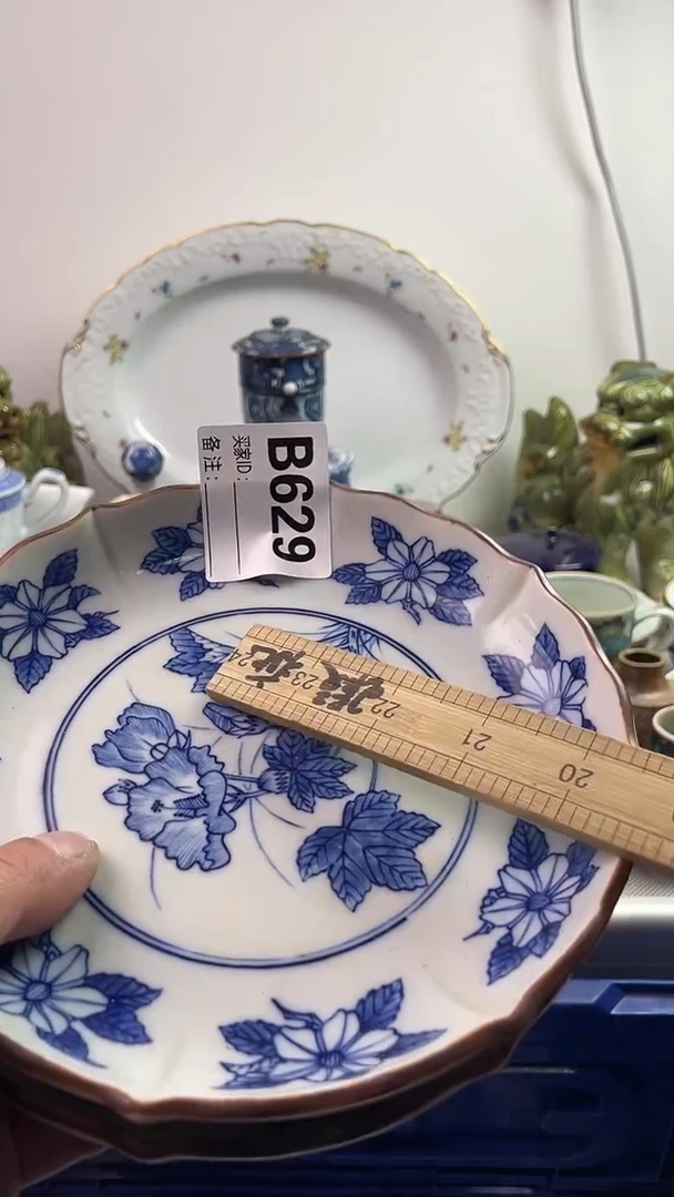 【闪购商品】瓷片7777777777 B629