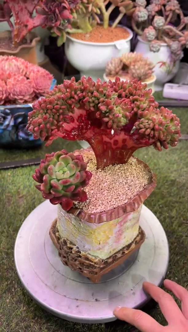 【闪购商品】09109