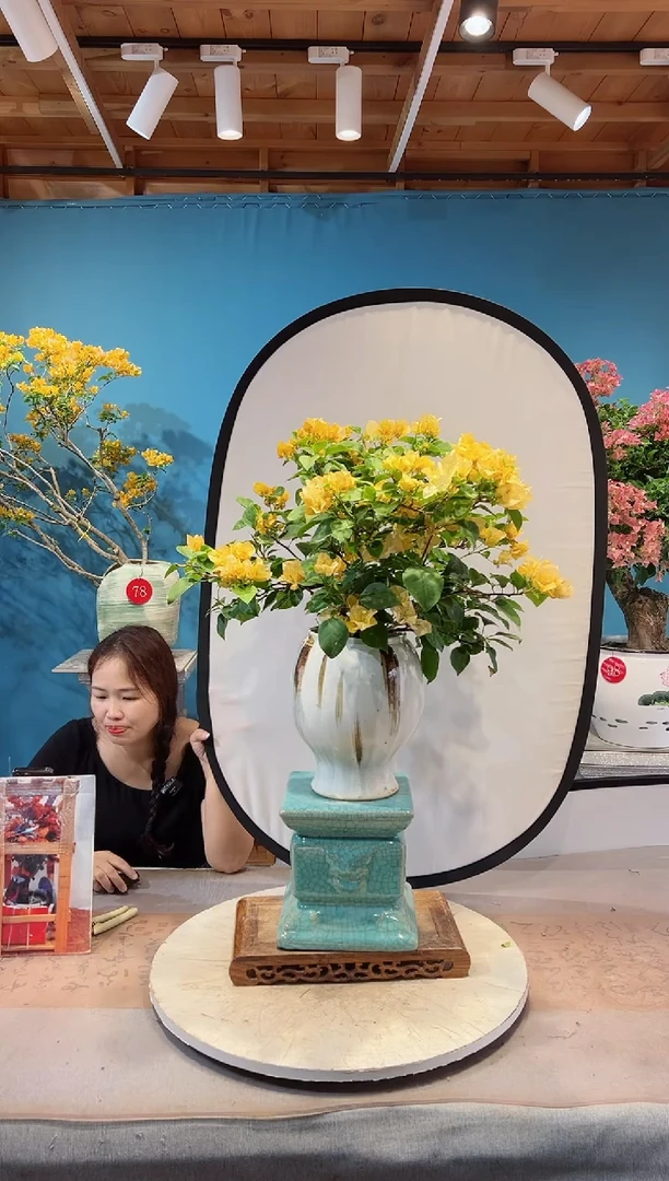 全部花苞金色光辉