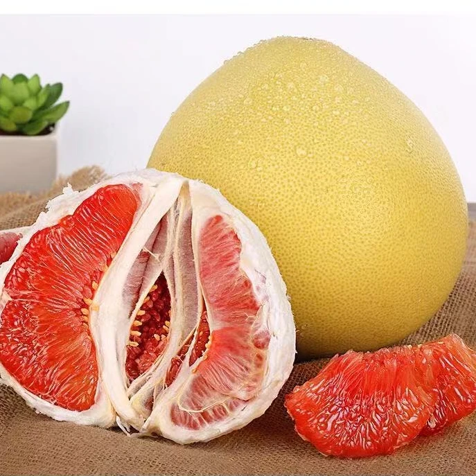 【十年老树】福建平和蜜柚 红肉柚子红心柚当季孕妇整箱新鲜JJJ
