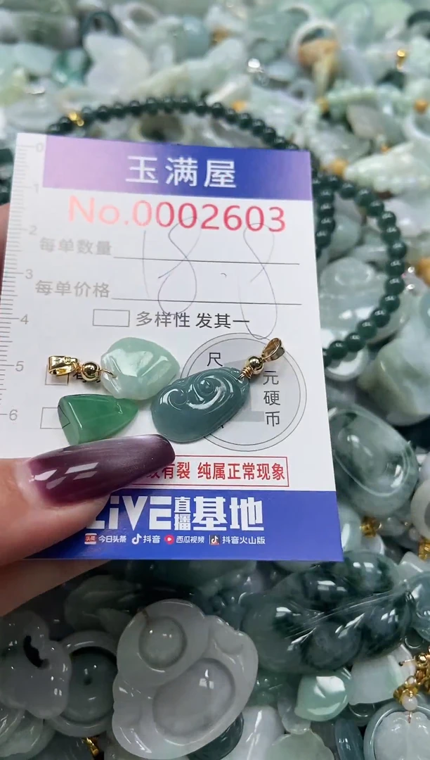 颈饰未镶嵌翡翠2603