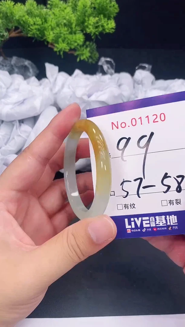 未镶嵌手镯翡翠1120