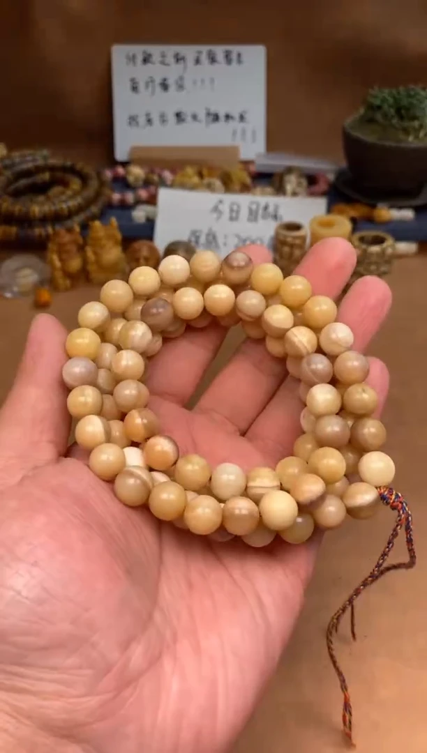 【闪购商品】驼骨其他驼骨定向V321