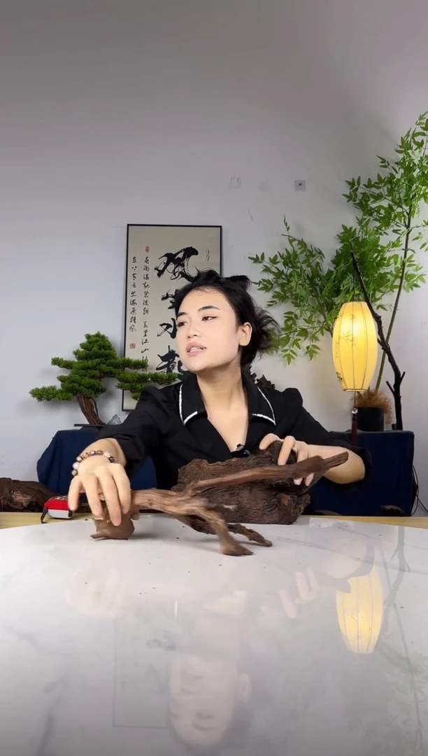 平**淡拍这个定向编号14