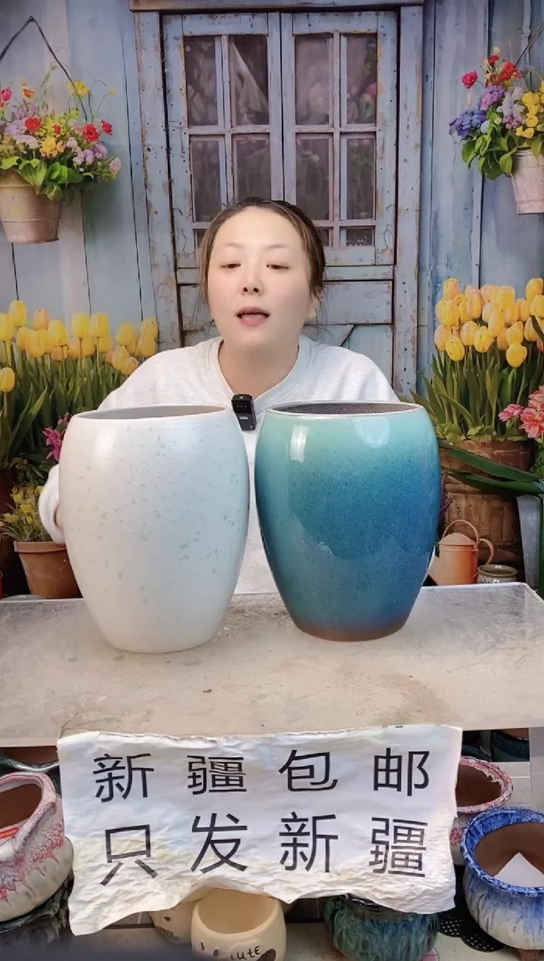 004白蓝蛋形两个装  口14高20