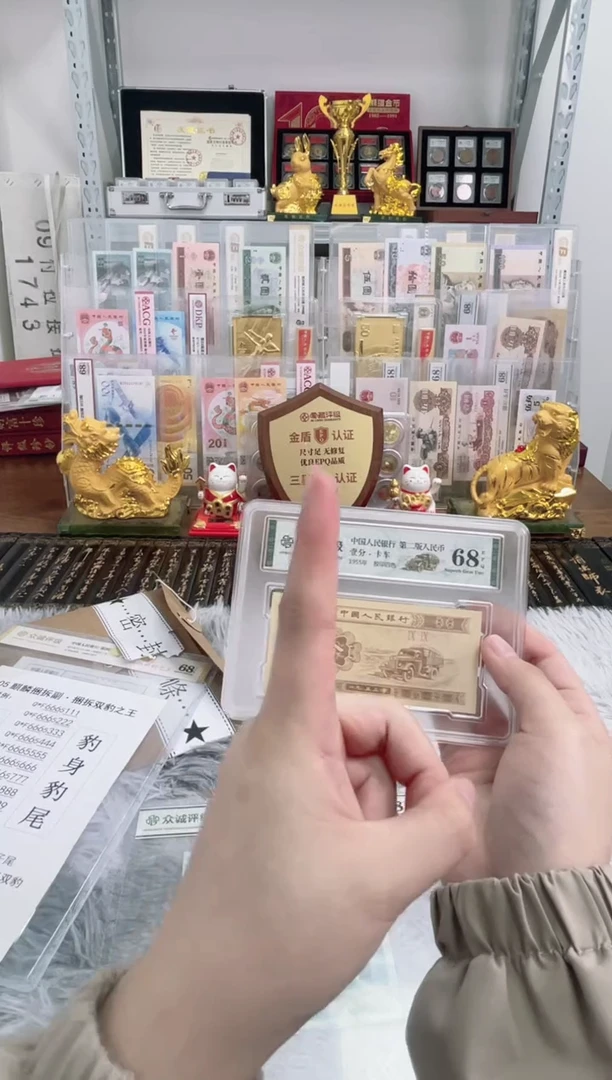 双豹子【捆拆双豹之王】