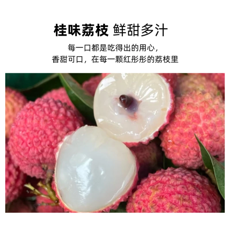 【桂味新鲜荔枝】正宗高州桂味荔枝新鲜荔枝整箱荔枝鲜果现摘现发