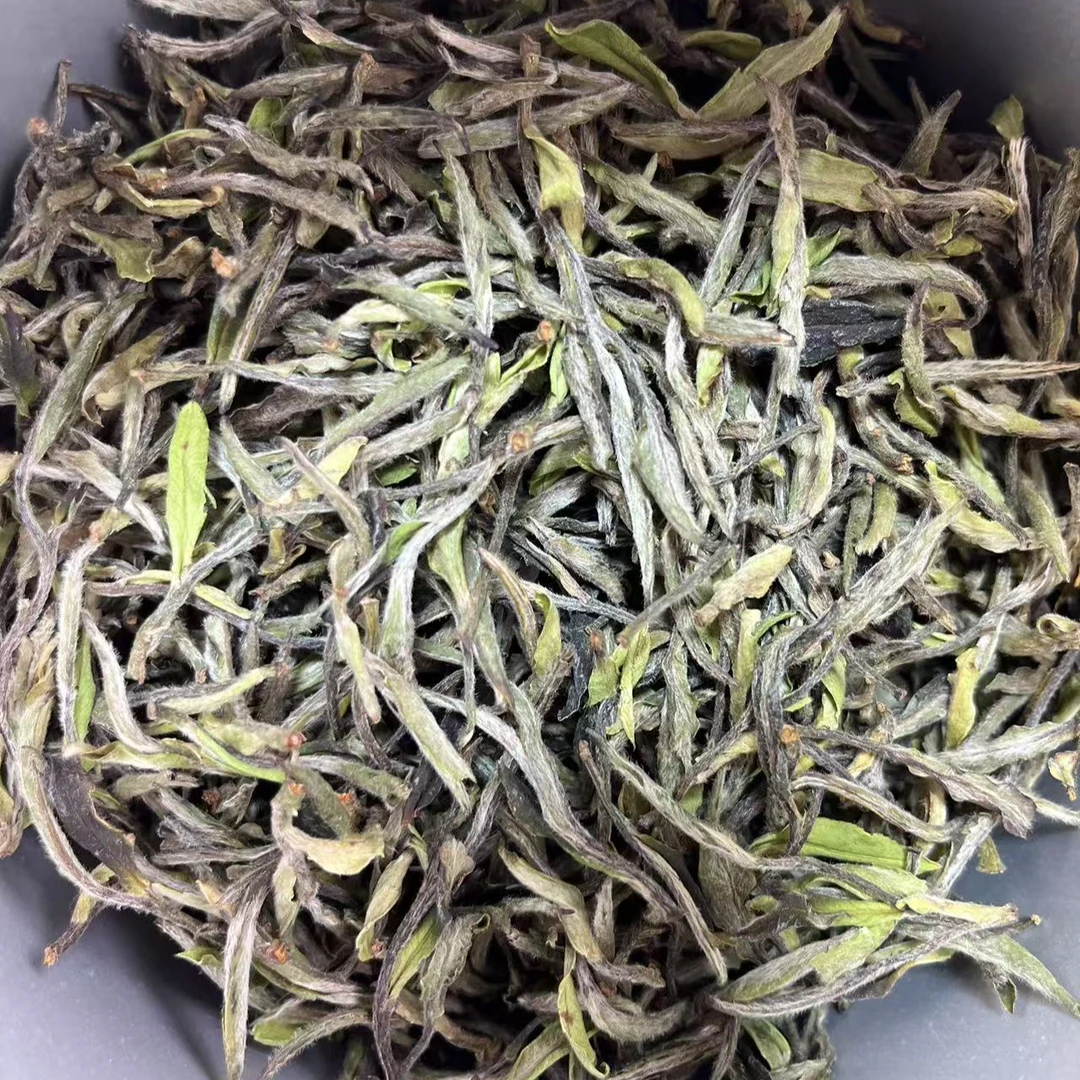 25老树水仙王 特殊品种 幽幽花果香 淡淡冰糖甜