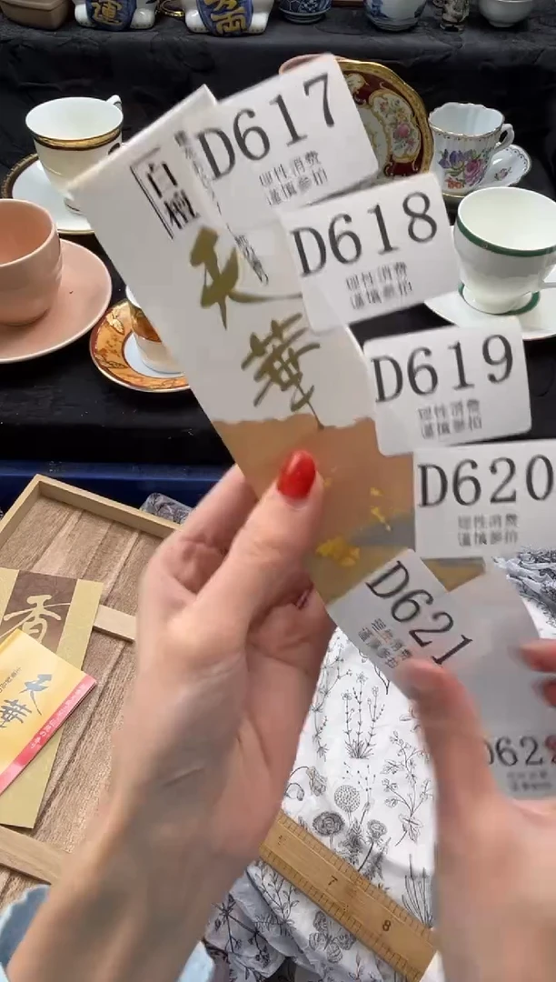瓷片       D620