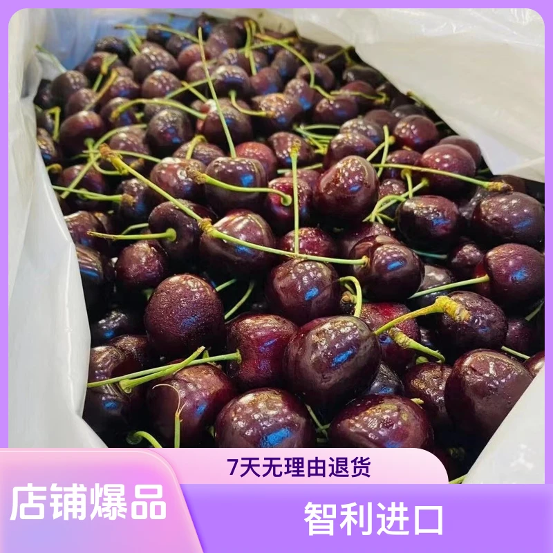 【今日特惠】科迪亚黑车车厘子JD1斤/2/3斤礼盒装仅需拉宾斯智利