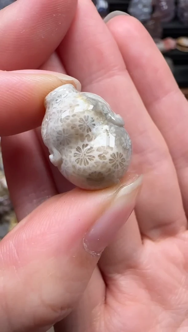 颈饰未镶嵌硅化珊瑚（珊瑚玉）734