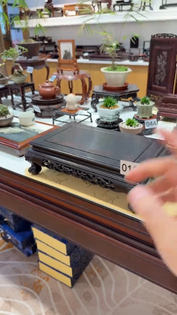 紫砂1紫砂紫砂紫砂紫砂紫砂