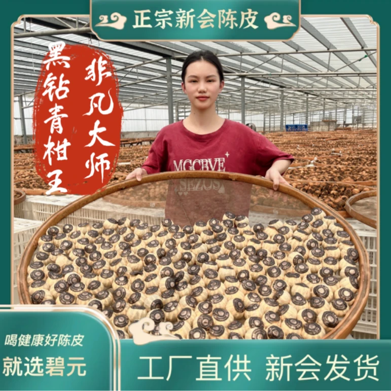 【黑钻.非凡大师】柑香醇厚糯滑9月梅江老树小青柑+贺开老树大金芽