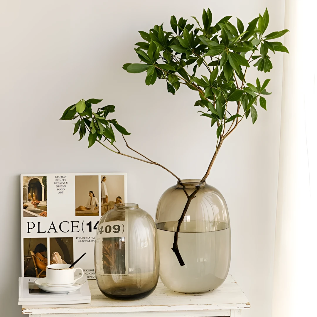 柚萝喜悦加厚大肚玻璃花瓶网红爆款2024新款高级感雪柳富贵竹专用