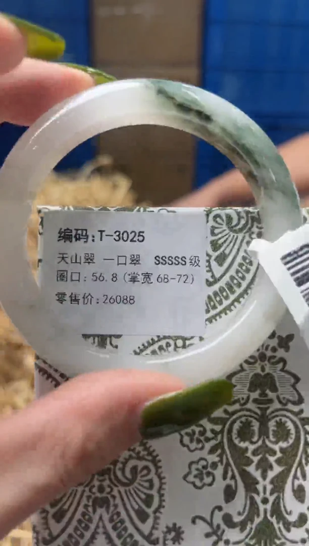 未镶嵌手镯石英质玉T3025