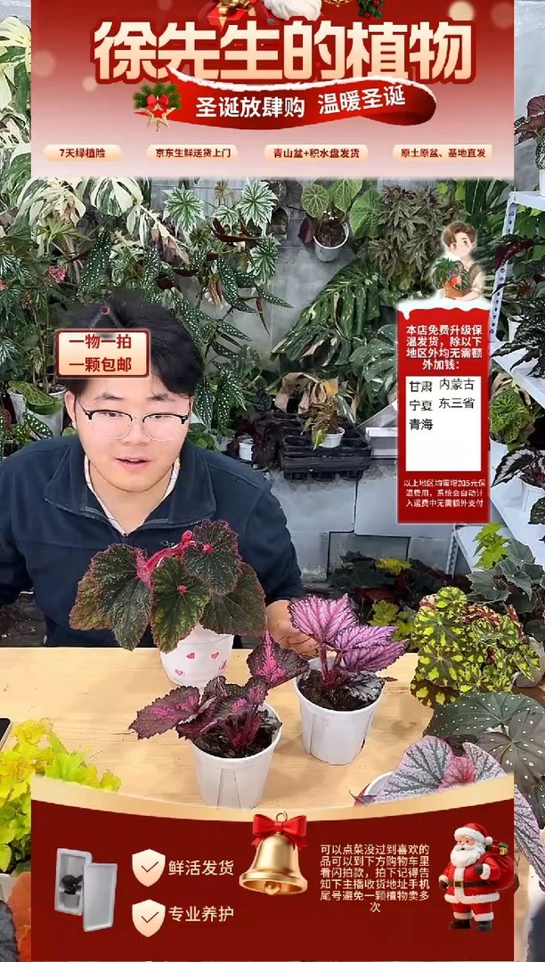 完全开放娜**卡红磨坊