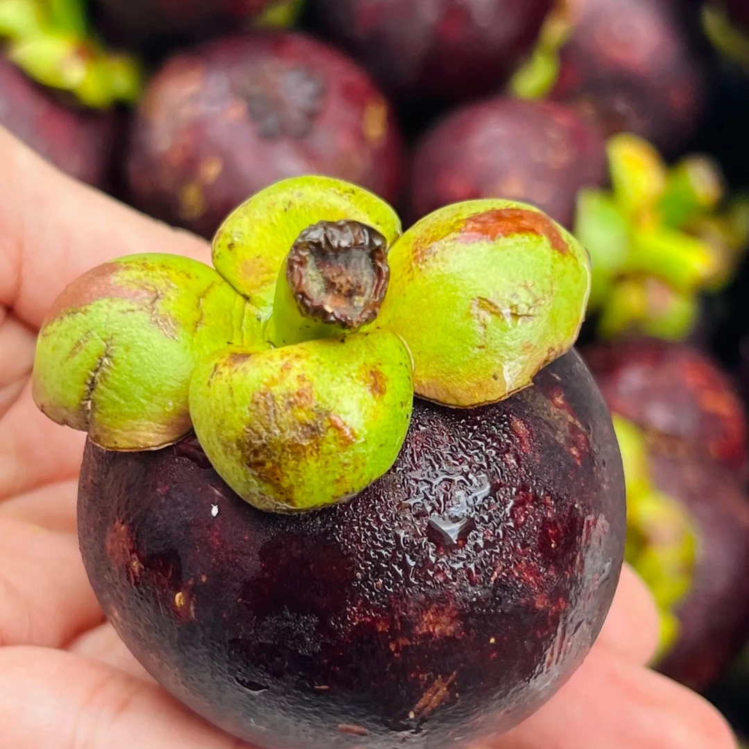 泰国新鲜山竹-两斤装