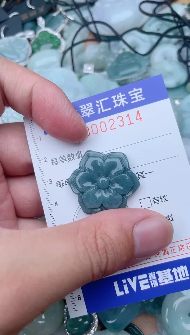 翡翠未镶嵌颈饰2314