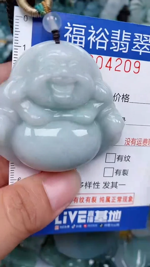 翡翠未镶嵌颈饰...0004209