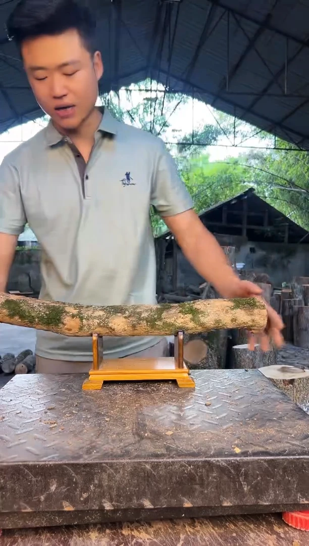 四川小叶桢楠金丝楠