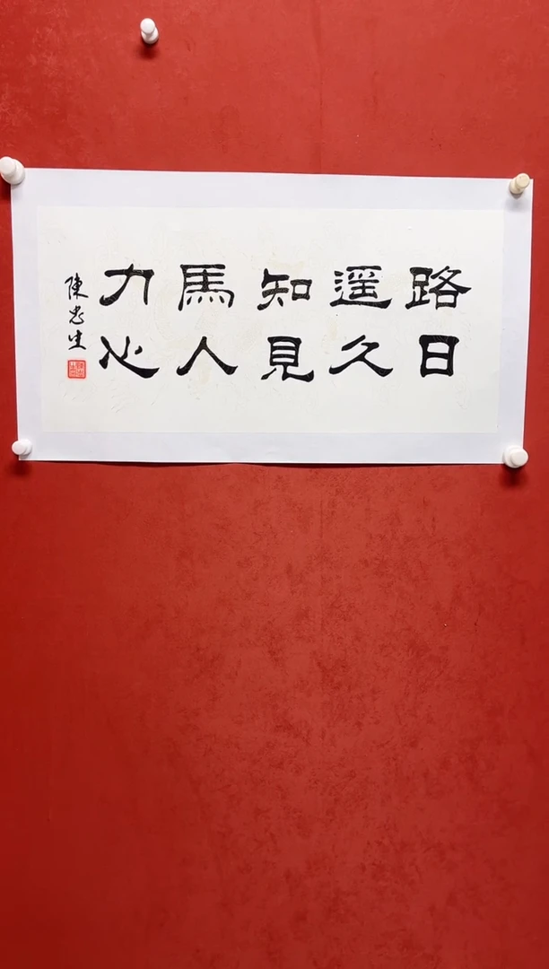 书法陈老师   画芯138*34手工托心