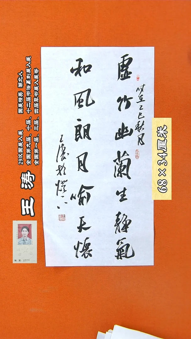 书法88R王涛书法作品