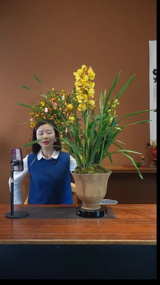 全部花朵金玉满堂盆景盆景盆景