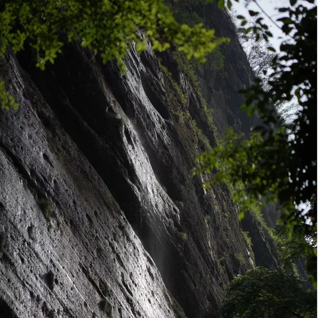 梅山耕夫【开播大福利】安化黑茶